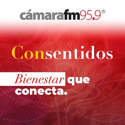 ConSentidos